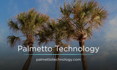 PalmettoTechnology.com - Creative brandable domain for sale